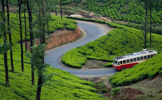 Tips on How to Make Green Travel in India