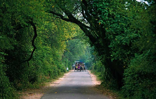 road trip to Bharatpur from delhi, weekend road trips from delhi, IndianEagle booking 